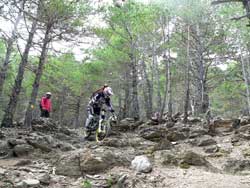 cycles et nature a vallnord pour la dh cup